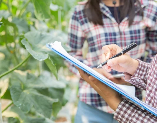 Сертификация