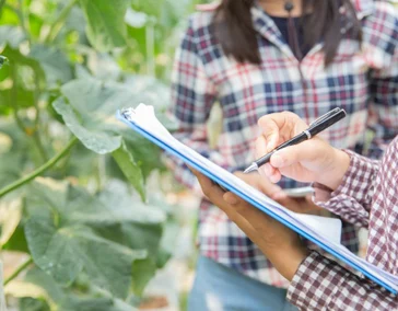 Сертификация