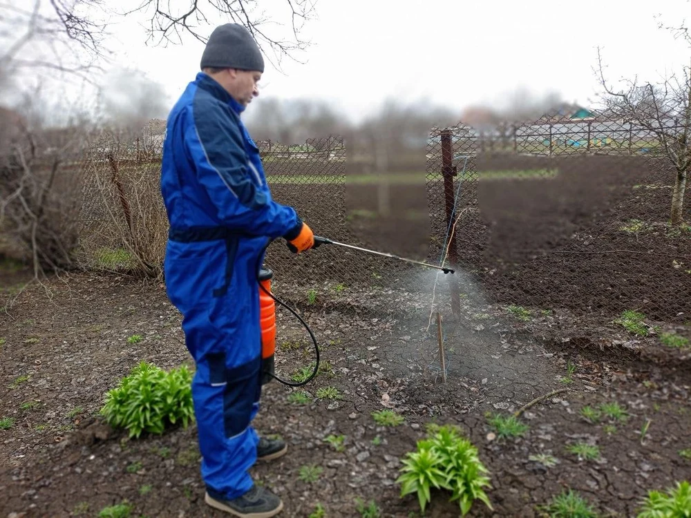 Рекомендации специалиста всем, кто занимается садоводством.